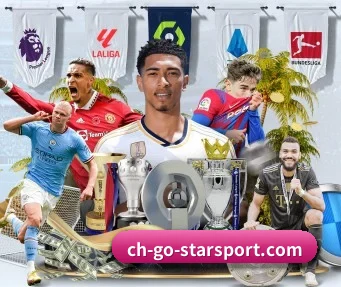 规模扩大